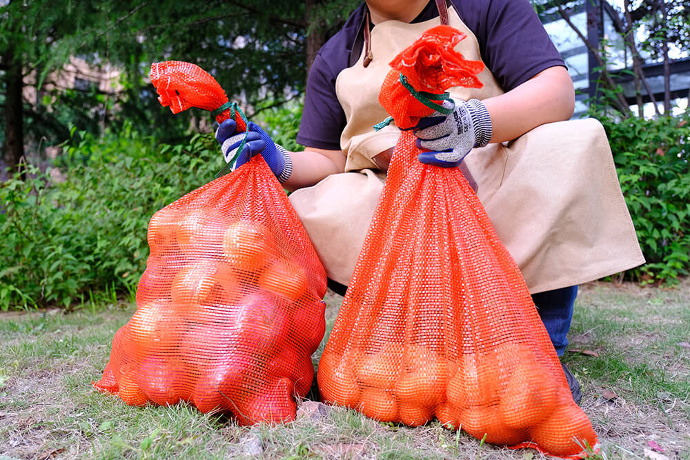 Unveiling the Benefits of HighQuality Onion Bags A MustHave for Eff